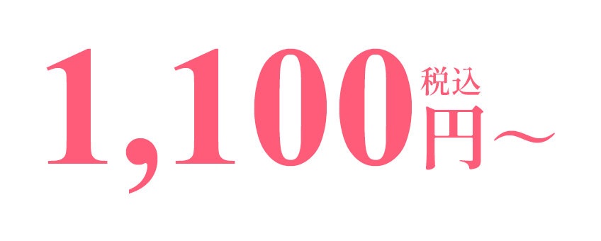 1,100円～(税込)